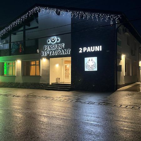 Pensiune Restaurant Pizzerie 2 Pauni Borşa Екстериор снимка