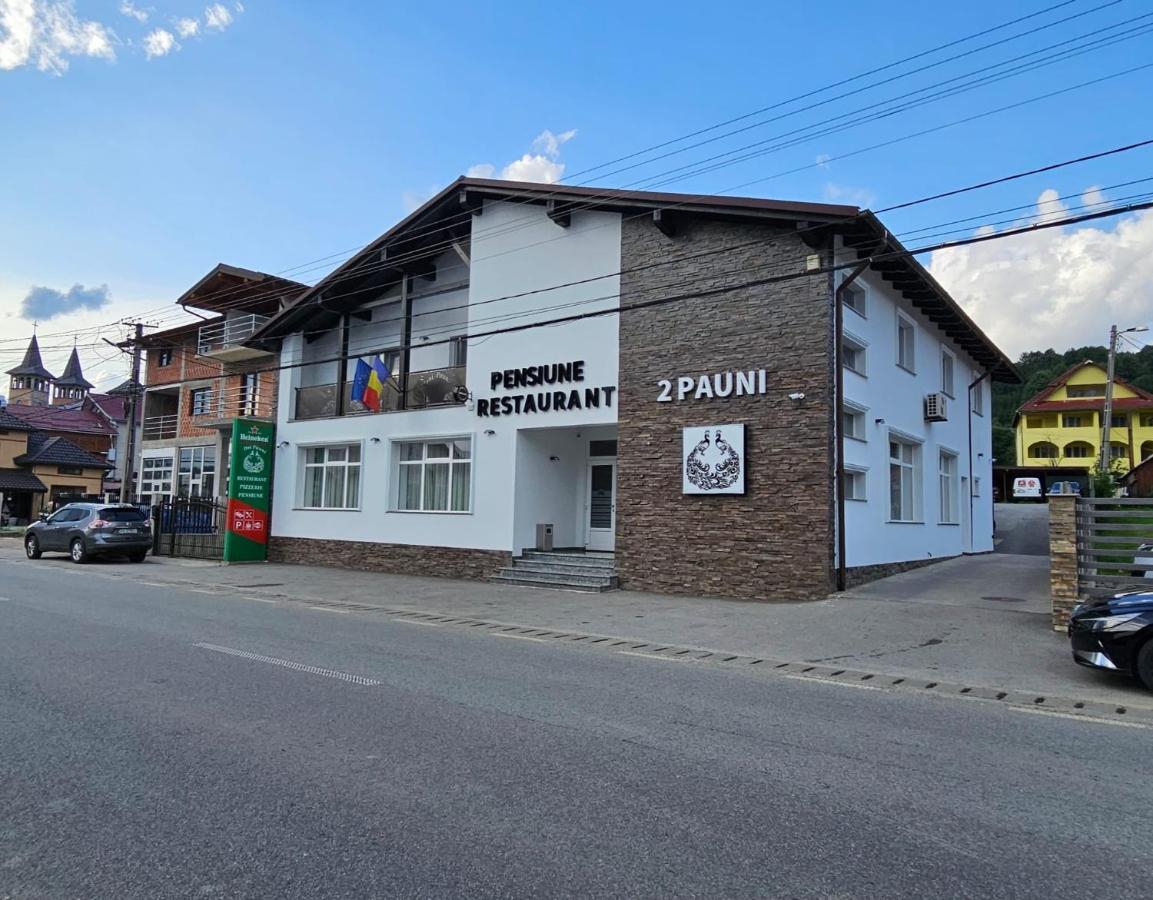 Pensiune Restaurant Pizzerie 2 Pauni Borşa Екстериор снимка